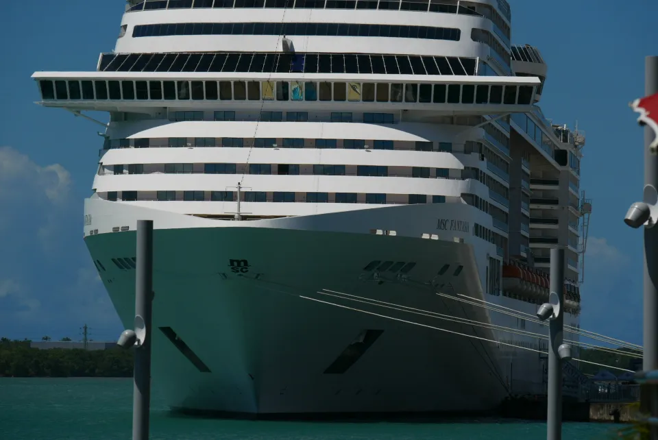 - Coronavirus - La croisière ne s'amuse plus à la Martinique