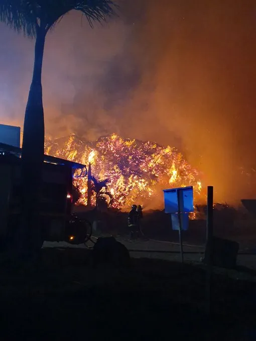 Incendie criminel à Holdex Environnement en Martinique