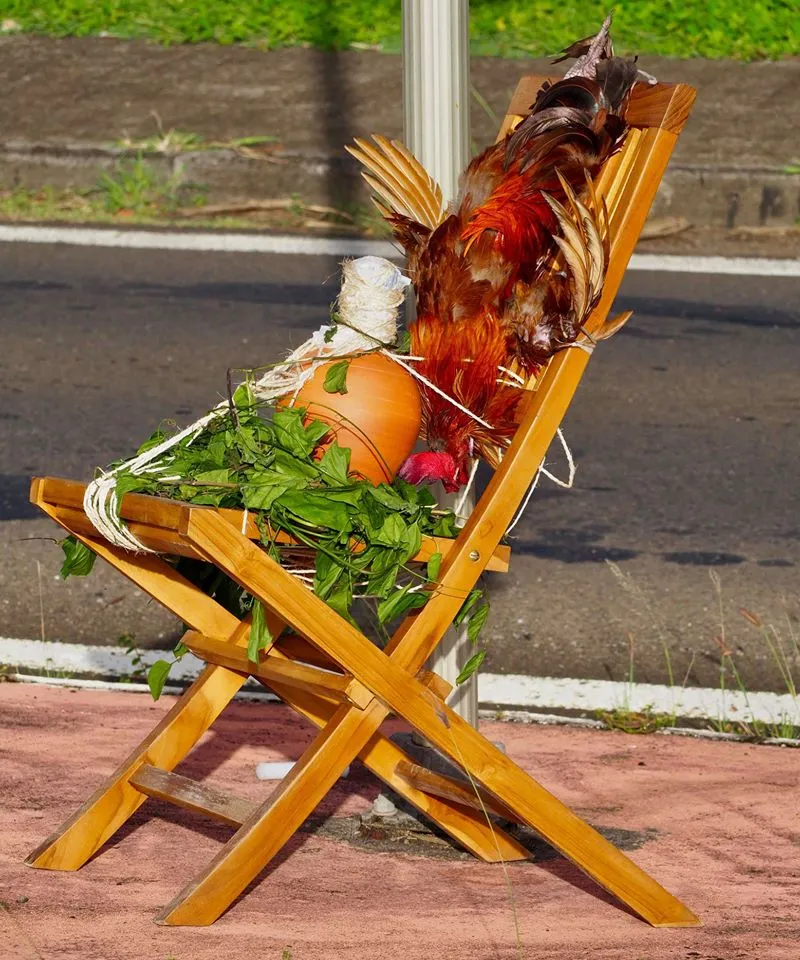 La saison des quimbois a démarré en Martinique