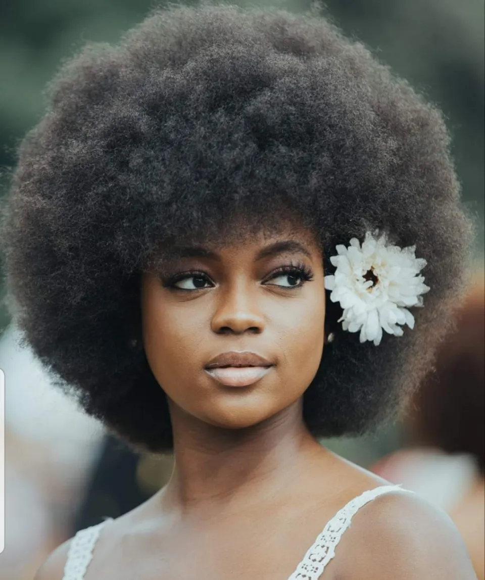 L'image du jour 18/08/20 - Afro