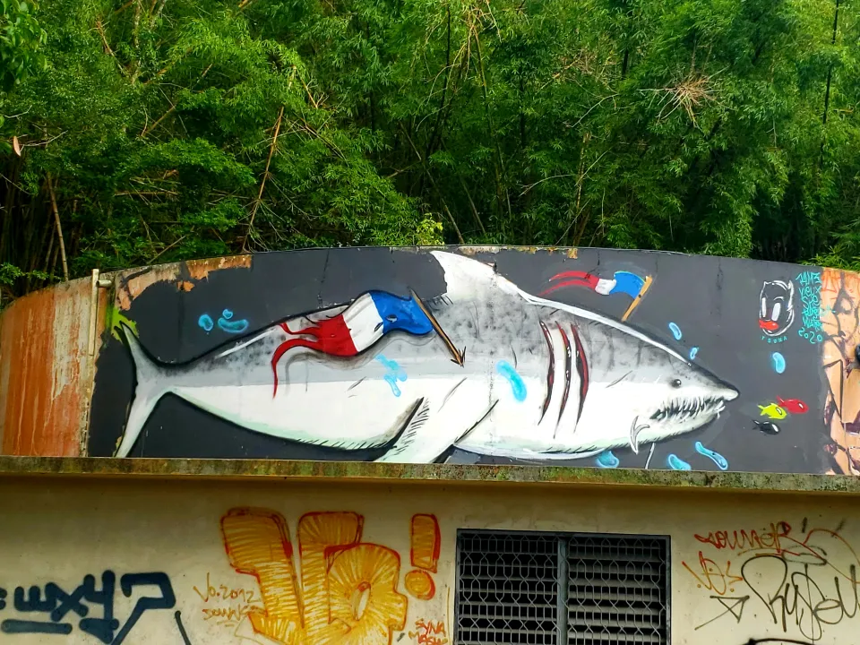 L'image du jour 20/08/20 - Martinique - Street art