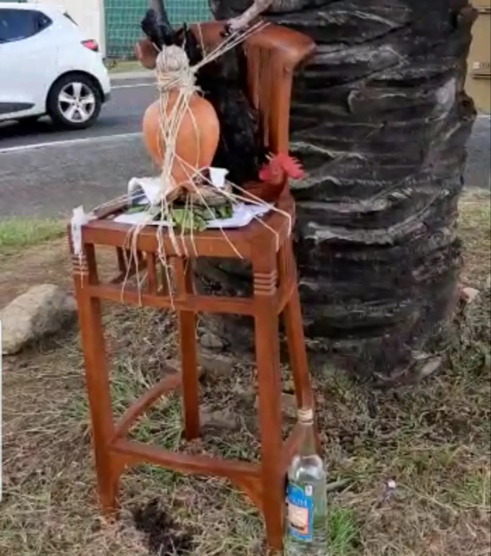 Quimbois vivant au rond-point près du siège du Groupe Bernard Hayot en Martinique