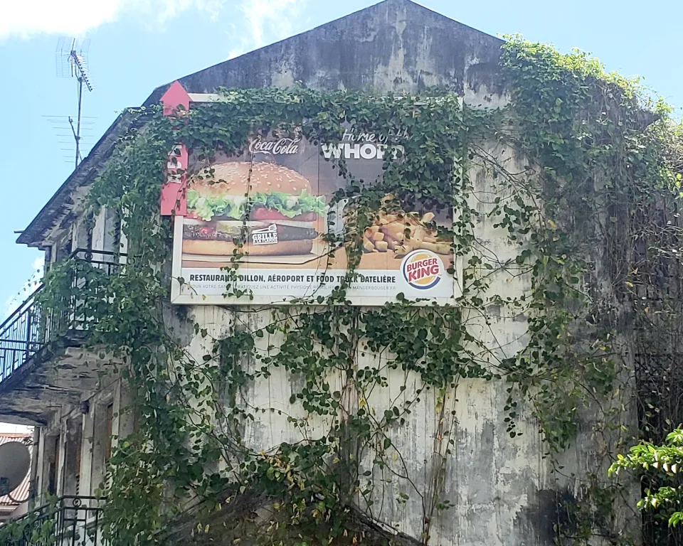 La nature a horreur du vide...même en Martinique