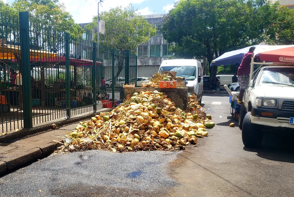 À Fort-de-France en Martinique...on dit la coco ou le coco ?