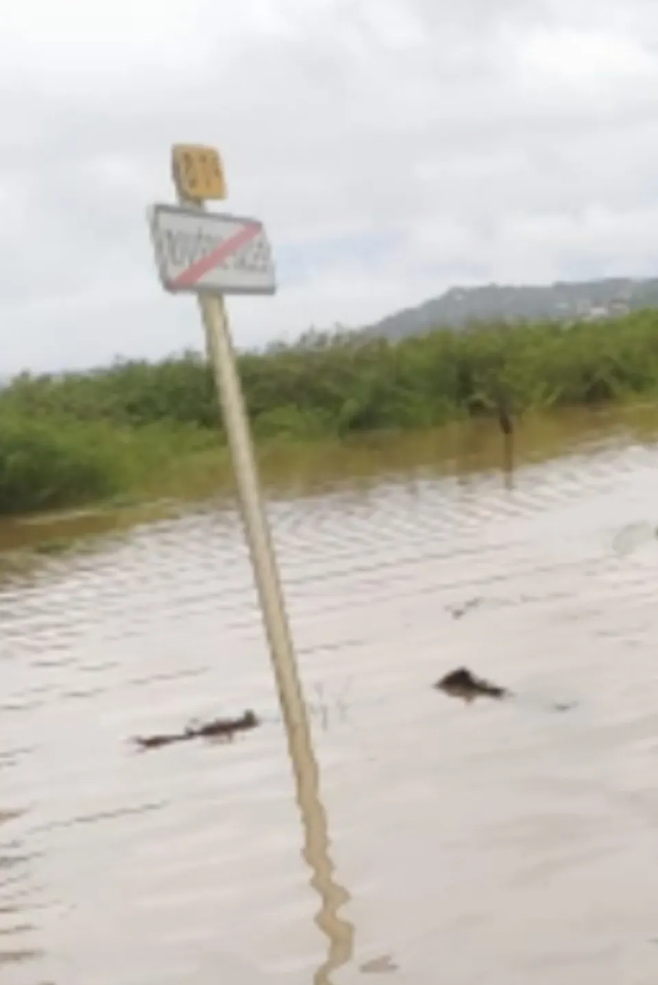 L'image du jour 28/10/20 - Rivière-salée - Martinique