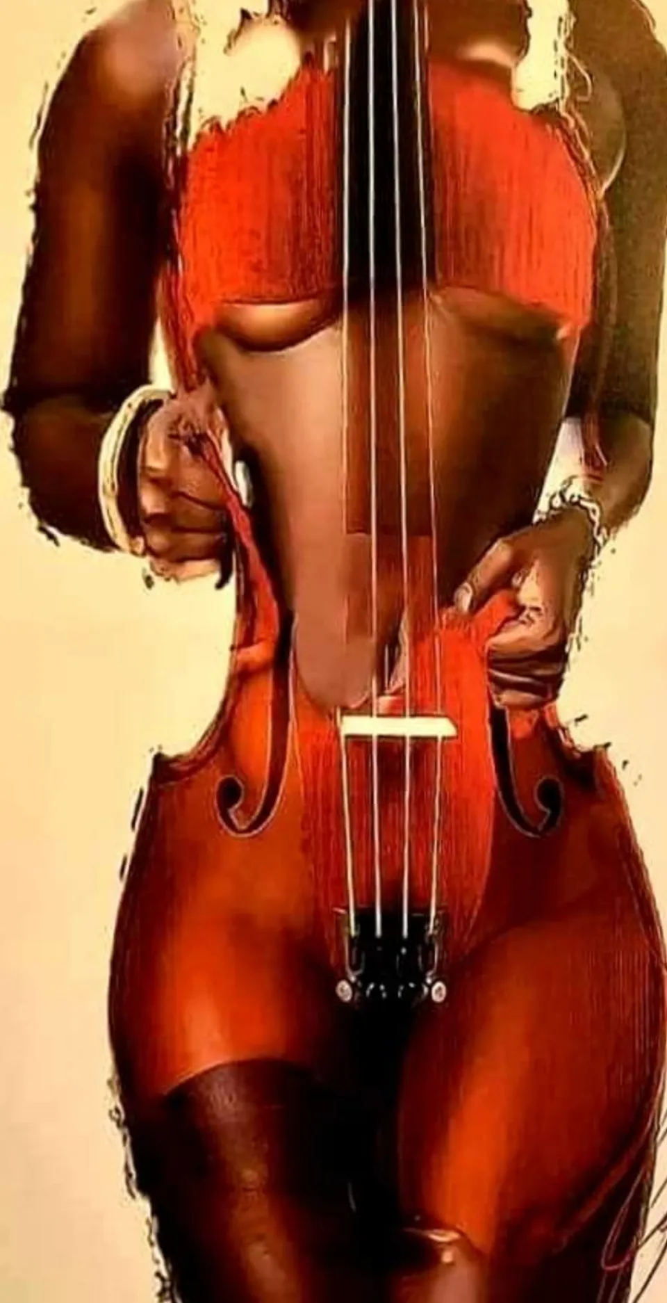 L'image du jour 20/11/20 - Violon