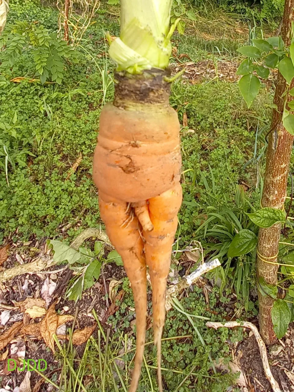 La nature a horreur du co...vide