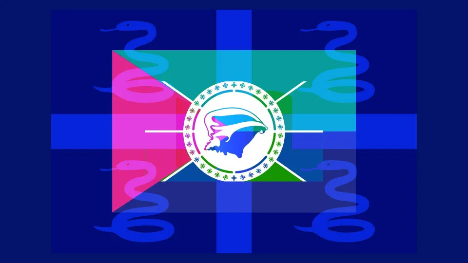 Sondage. Martinique : quel drapeau pour vous représenter ?