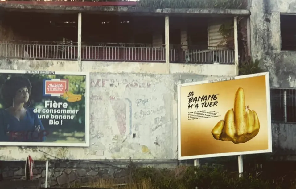 La Banane...moi coupable ...jamais