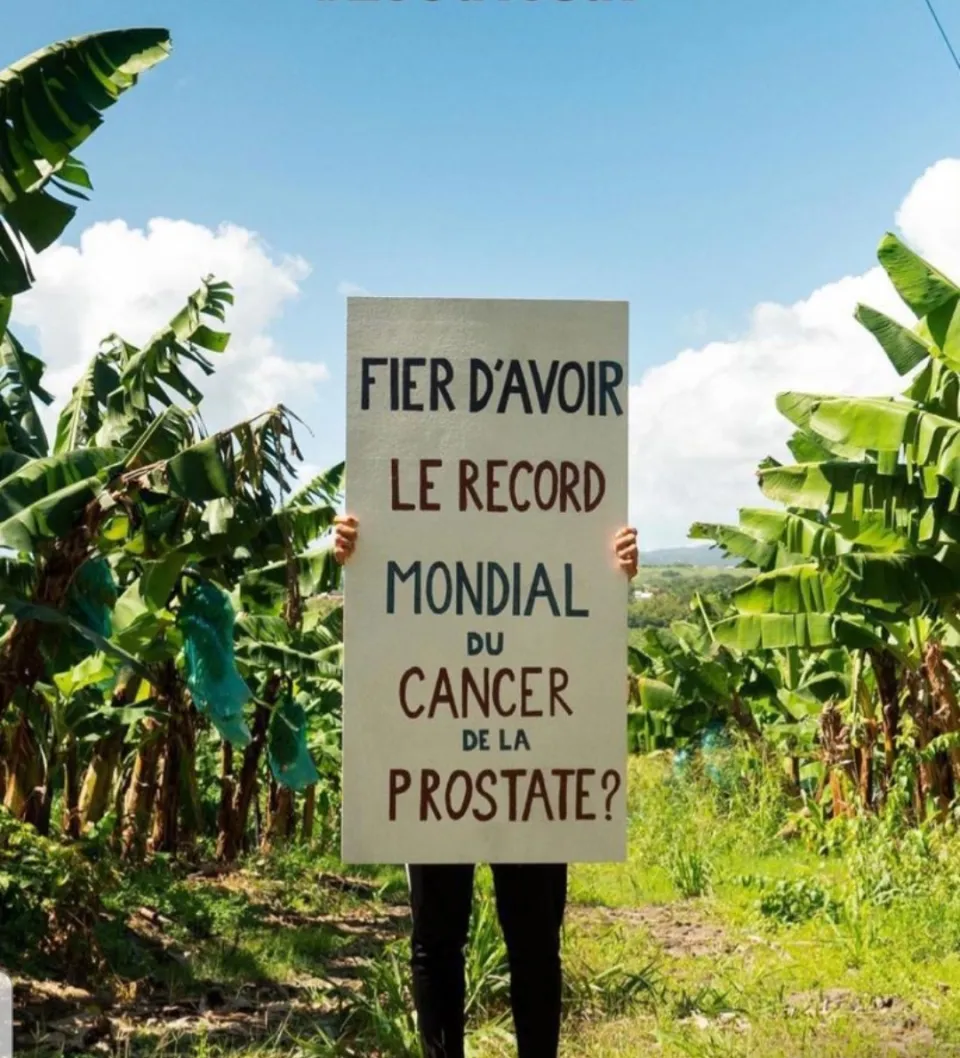 Pauvre Martinique !
