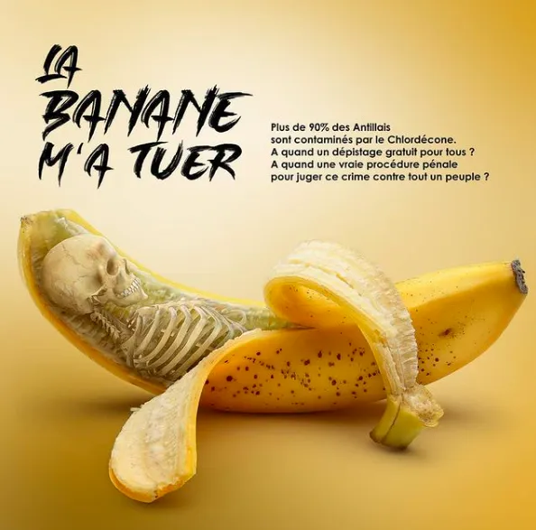 L'image du jour 23/01/21 - Banane - Guadeloupe- Martinique - Chlordécone