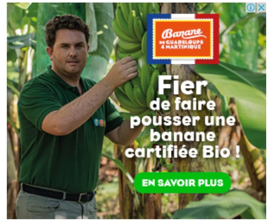 La Guadeloupe et la Martinique sont fières de faire pousser une BANANE "cartifiée" Bio !
