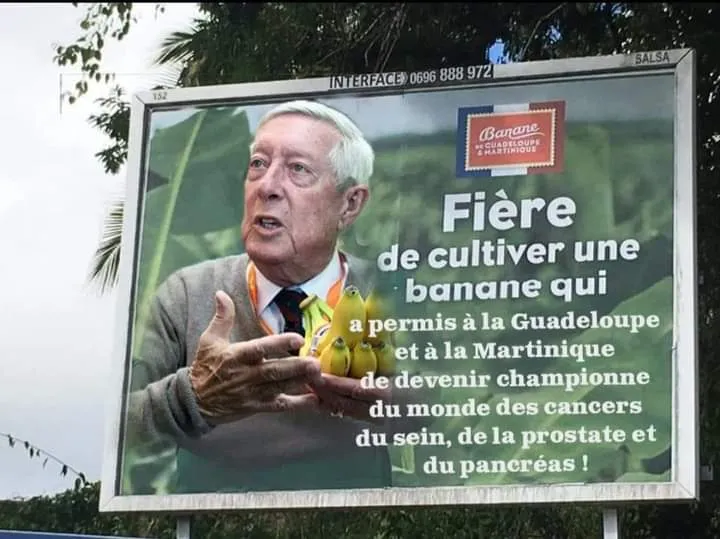Banane et Chlordécone en Martinique : oh mon dieu...oh my god...oh Djee Zeus...ce serait l'enfer si on  laissait de Lucy faire ?