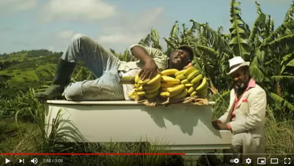 La banane de Martinique : "il faut la respecter" (disent-ils)... [vidéo-clip]
