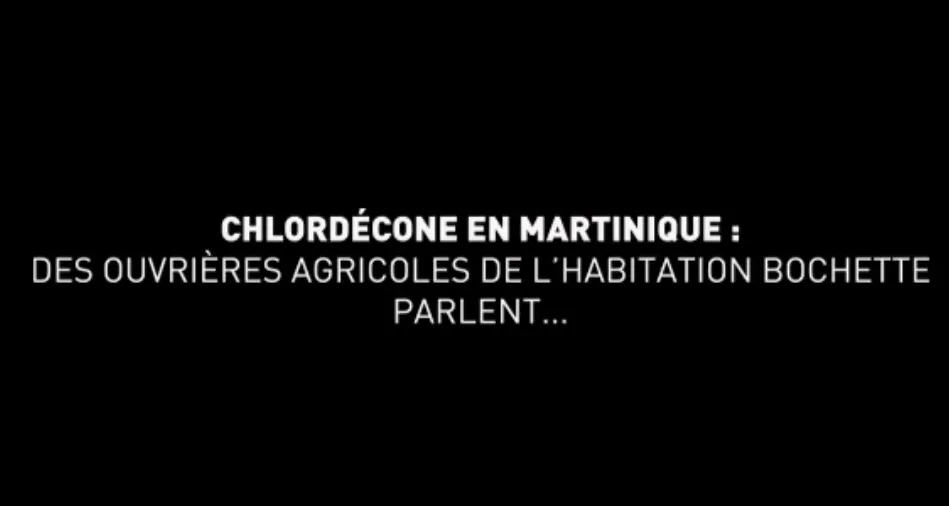 8 mars 2021 Journée internationale des droits des femmes : 3 femmes impactées par le scandale du chlordécone libèrent la parole en Martinique