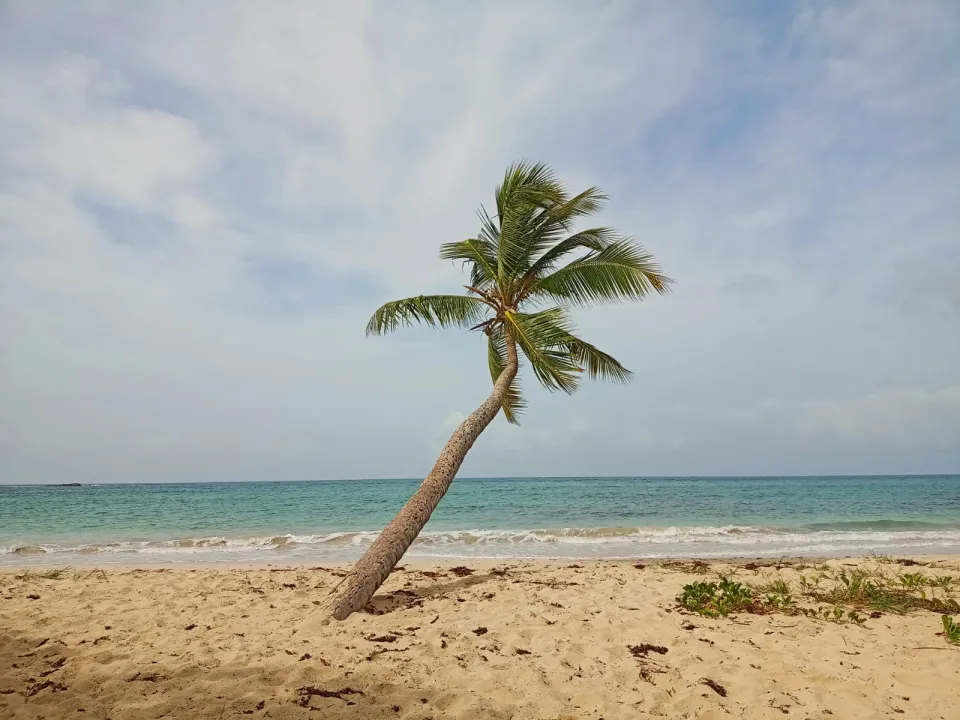 l'image du jour 14/04/21 - Anse à prunes - Sainte-Anne - Martinique