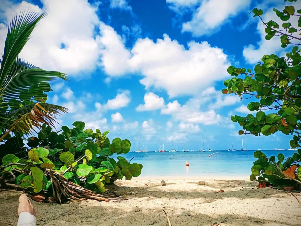 La Martinique c'est aussi ça !