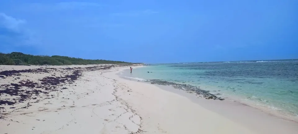 La plage des salines... à Saint François en Guadeloupe