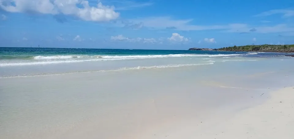 Martinique : attention...Trabaud
