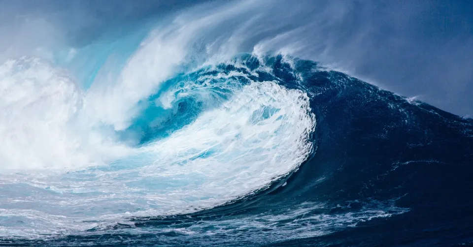 Tsunami politique chez Les Républicains (LR) en Martinique