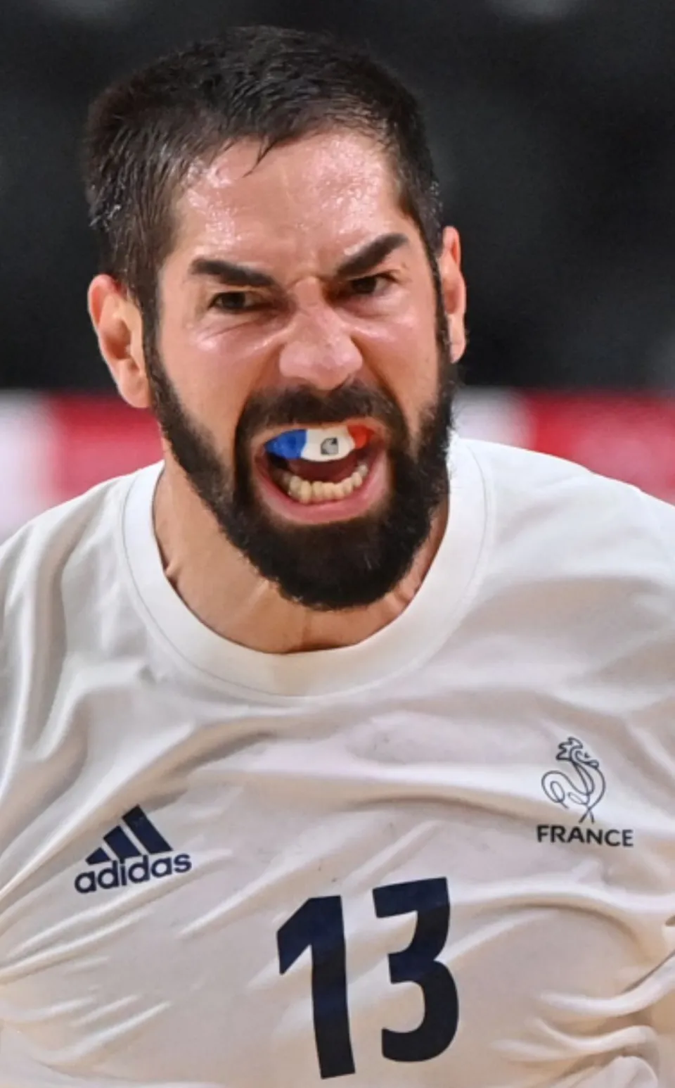 Images du jour - France - Hand - Volley-