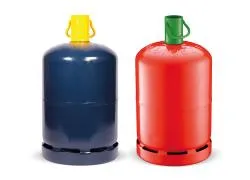 Prix de la bouteille de gaz de 12.5 kg...la Martinique et l'île de La Réunion au coeur de l'égalité réelle made in France