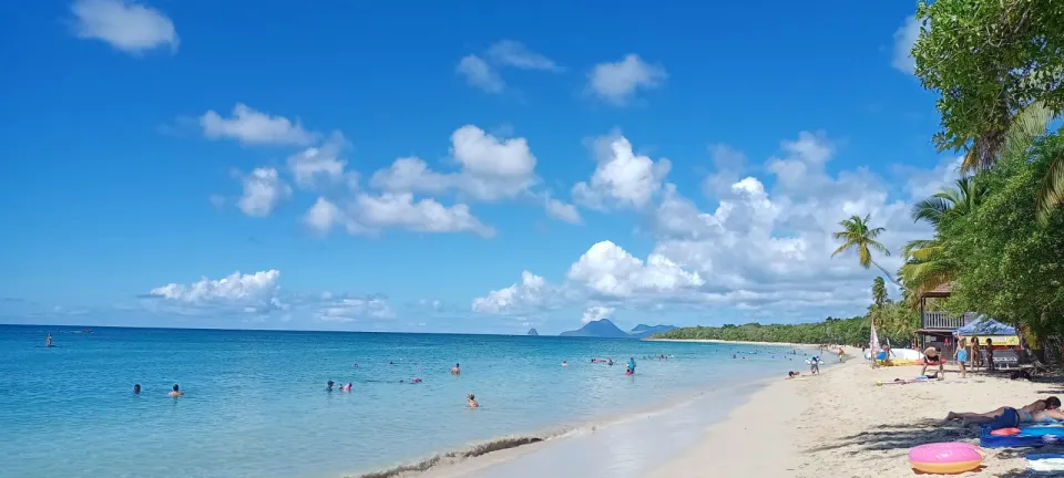 🎵🎵🎶Et j'ai crié, crié : "Salines !", pour qu'elle revienne🎵🎶