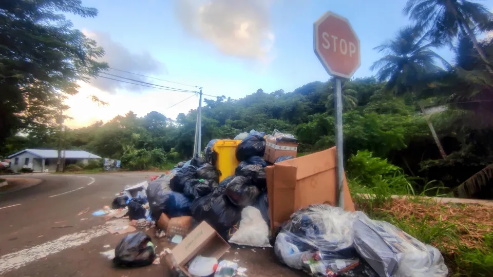 L'image du jour 30/11/21 - Périolat - François Martinique