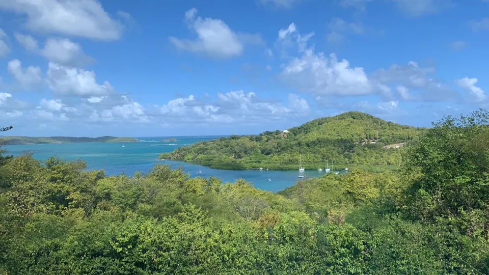 Images du jour 18/12/21 - Martinique