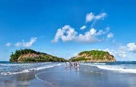 Une tortue pond sur la plage de Sainte-Marie en Martinique et regagne l'Océan Atlantique