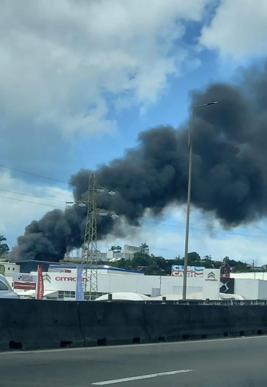 Incendie dans la zone de Californie en Martinique