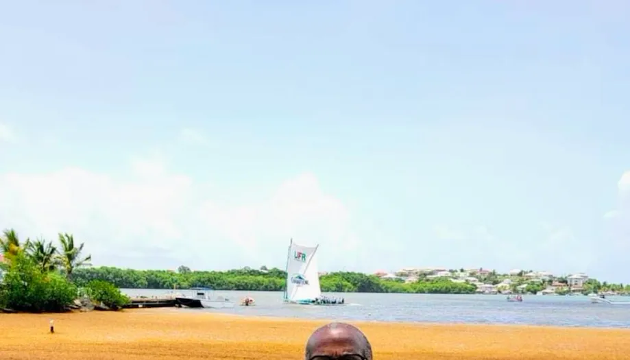 Et si les 55 candidats-es aux Législatives 2022 en Martinique organisaient une journée ramassage d'algues sargasses ? Et si...ils s'y mettaient ?