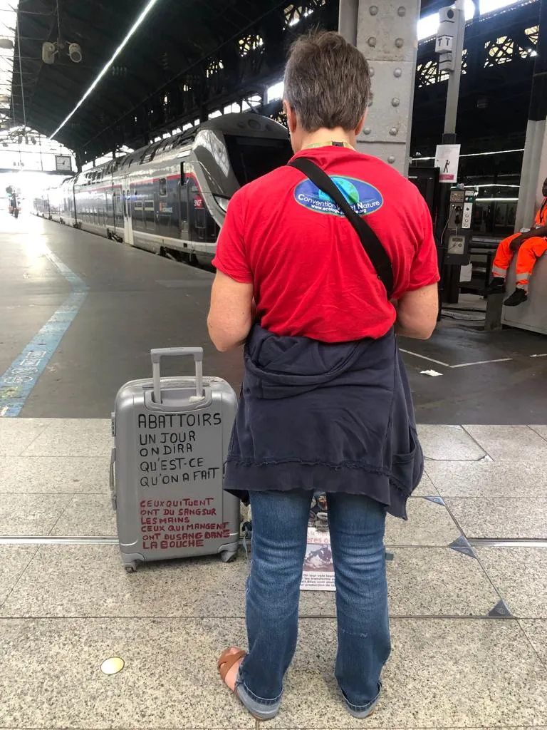 L'image du jour 19/07/22 - Paris -France