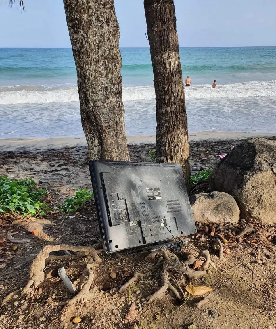 La Collectivité Territoriale de Martinique doit-elle organiser un congrès pour la protection de l'environnement  ?