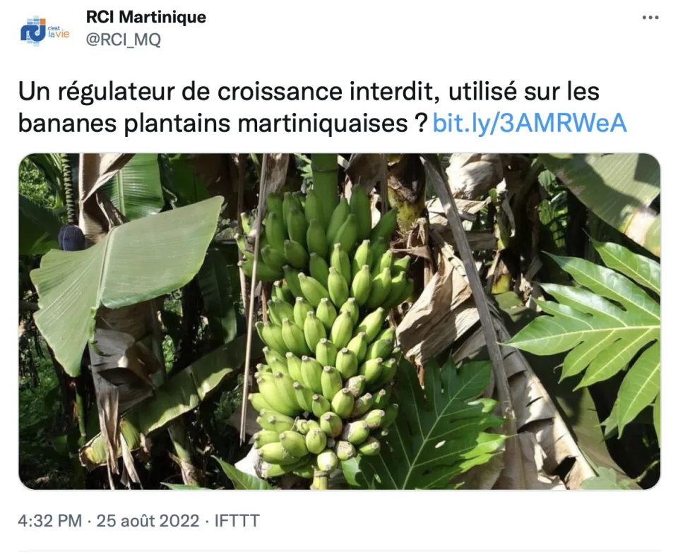 RCI Martinique se plante sur la banane plantain