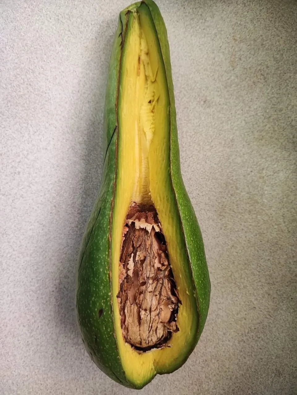L'avocat le fruit des fendus ?