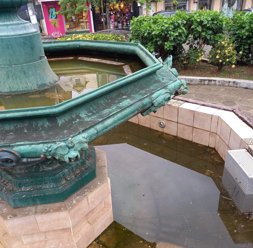 Martinique : la ville de Fort-de-France élève des moustiques aedes aegypti en eau douce...en douce