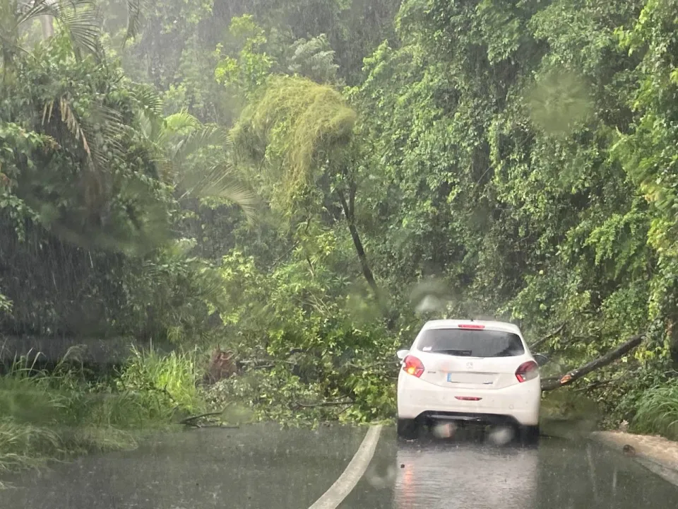L'image du jour 06/11/22 -Martinique