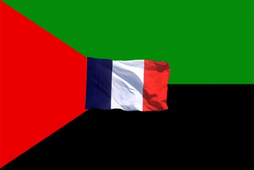LA CTM ET LE DÉBAT SUR LE DRAPEAU DE LA MARTINIQUE