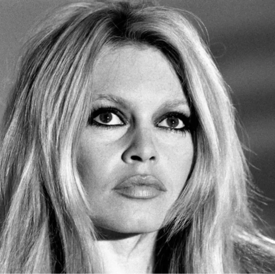 Brigitte Bardot  : "Si on peut s'occuper des nègres, alors pourquoi pas des chiens ?"