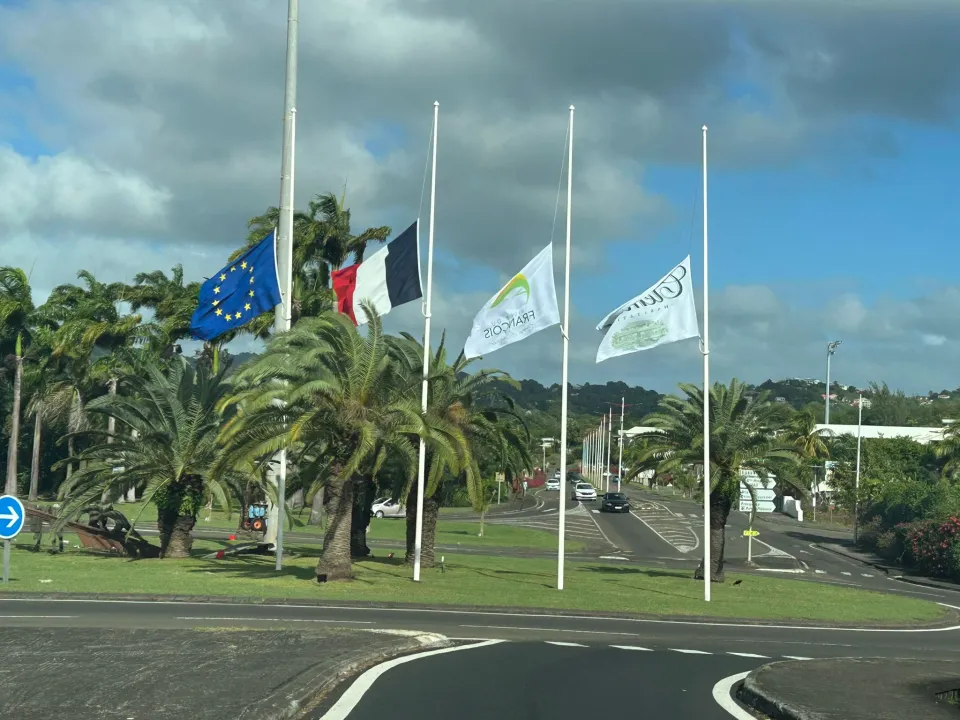 L'image du jour 26/01/26 - François  - Martinique