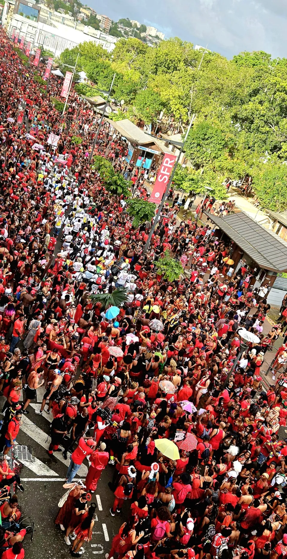 L'image du jour 17/02/26 - Mardi gras - Carnaval - Martinique