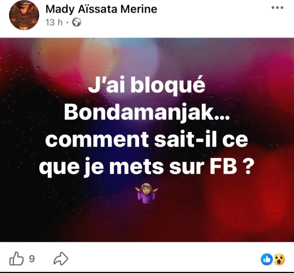 Mady Mérine...entre naïveté chronique et  facticité personnifiée