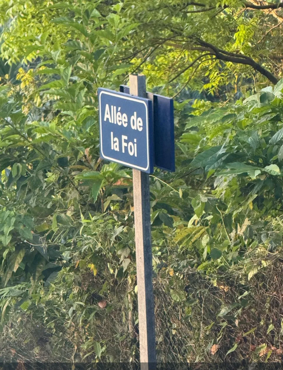 Allée Luia ?
