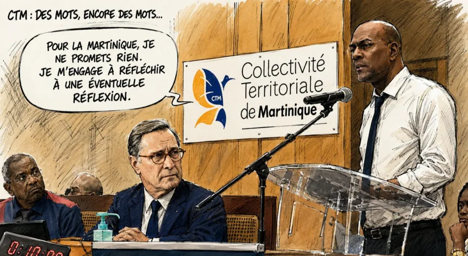 Bernard Hayot doit-il remplacer Serge Letchimy à la Collectivité Territoriale de Martinique ?