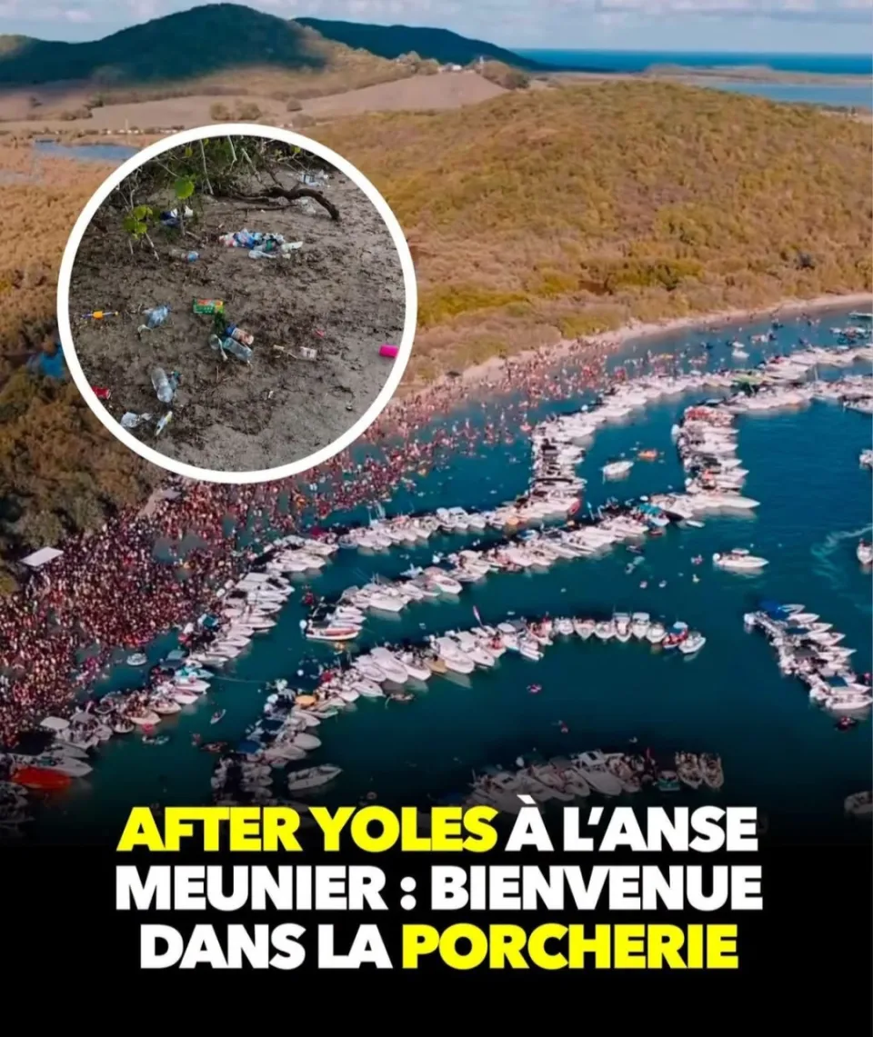 Écocide de l'Anse Meunier en Martinique : L'Assaupamar dépose une plainte contre X