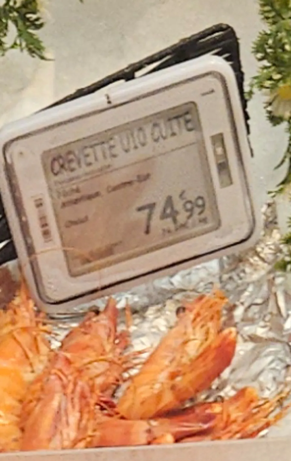 74.99€ le kilo de crevettes à Carrefour Genipa en Martinique ...mais que fait le RPPRAC...Thym pue ?