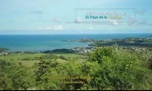 Même en #Martinique...un oignon ne sera jamais un PAYS