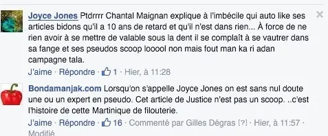Joyce Jones = Chantal Maignan ...une schizophrénie qui manque d'ingénierie au cœur de la démocratie participative