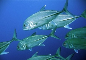 20130115-170936.jpg